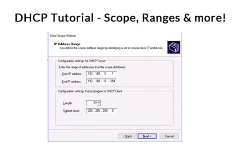 how to check dhcp scope